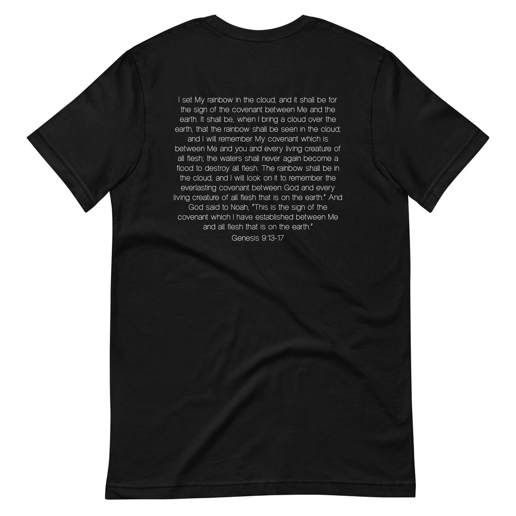 Reclaim the Rainbow Genesis 9:13-17 Shirt, Christian Rainbow Bible Verse t shirt with back printing