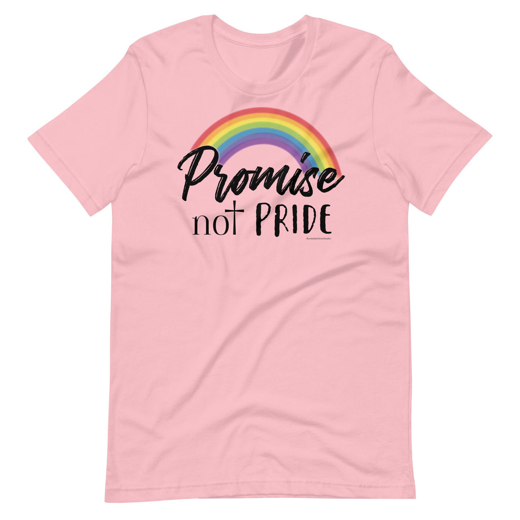 Promise Not Pride Shirt with Cross, Conservative Christian Rainbow Shirt with Proverbs 16:18 Back Print