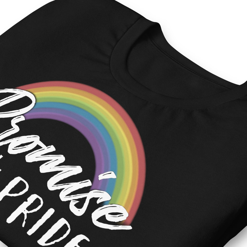 Promise Not Pride Shirt with Cross and Proverbs 16:18 on Back, Conservative Christian Rainbow Shirt