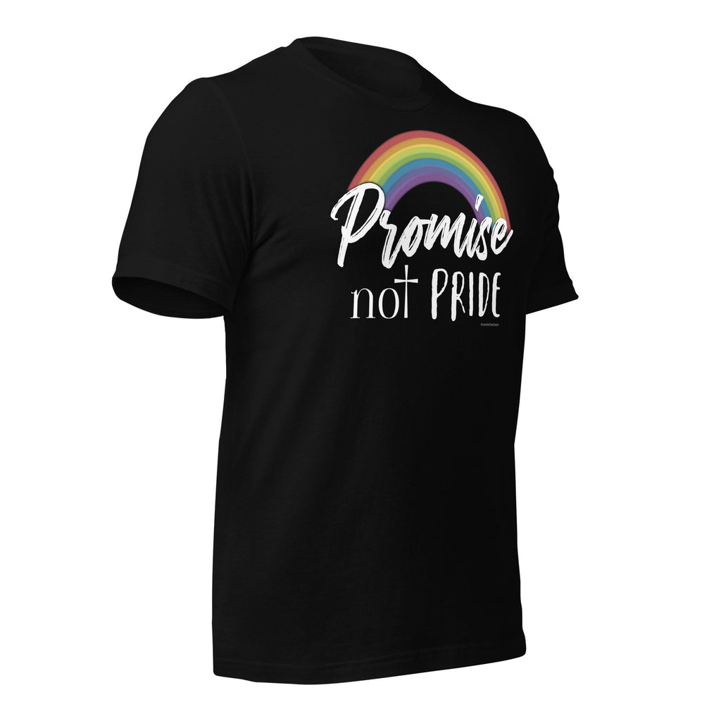 Promise Not Pride Shirt with Cross and Proverbs 16:18 on Back, Conservative Christian Rainbow Shirt