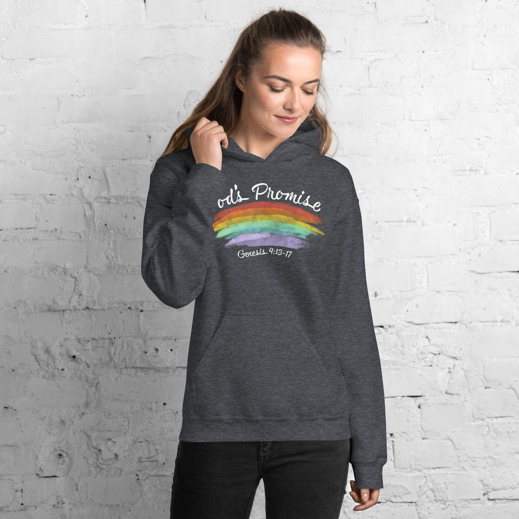 God’s Promise Christian Rainbow Genesis Hoodie with Genesis 9:13 text on Back, Christian Rainbow Hooded Sweatshirt