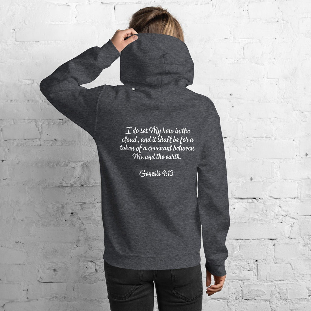 God’s Promise Christian Rainbow Genesis Hoodie with Genesis 9:13 text on Back, Christian Rainbow Hooded Sweatshirt