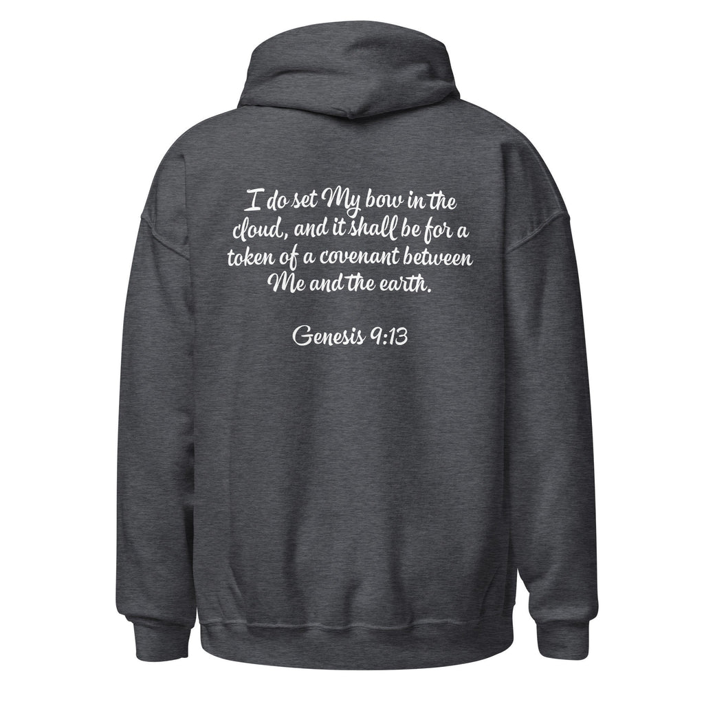 God’s Promise Christian Rainbow Genesis Hoodie with Genesis 9:13 text on Back, Christian Rainbow Hooded Sweatshirt