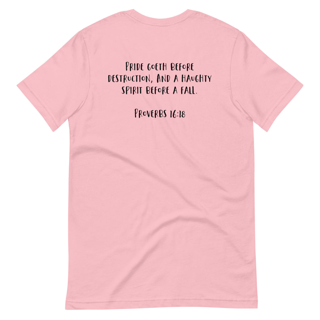 Promise Not Pride Shirt with Cross, Conservative Christian Rainbow Shirt with Proverbs 16:18 Back Print