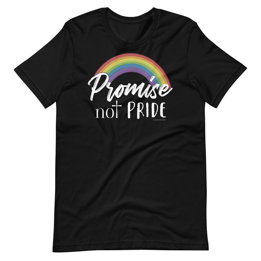 Promise Not Pride Shirt with Cross and Proverbs 16:18 on Back, Conservative Christian Rainbow Shirt