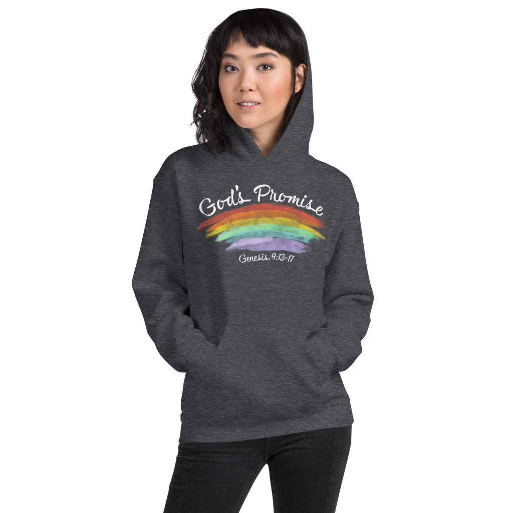 God’s Promise Christian Rainbow Genesis Hoodie with Genesis 9:13 text on Back, Christian Rainbow Hooded Sweatshirt