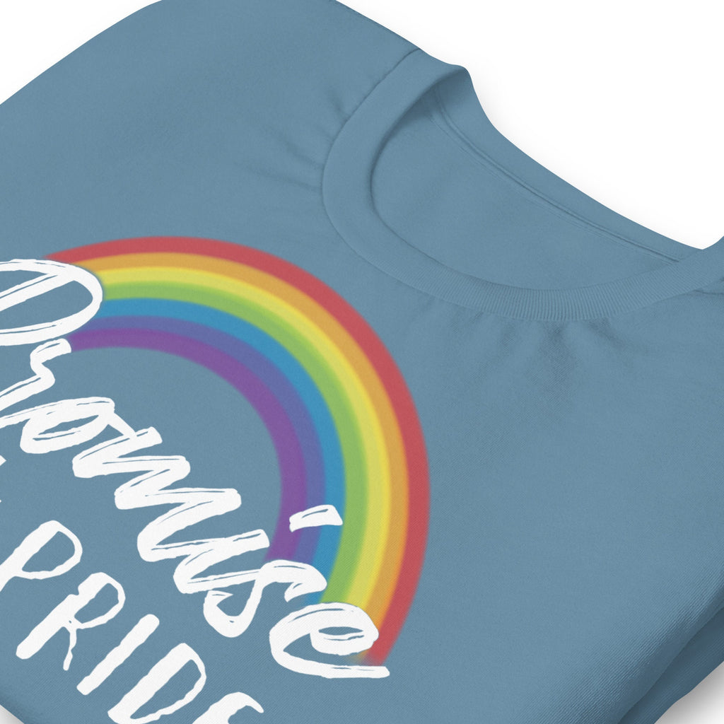 Promise Not Pride Shirt with Cross and Proverbs 16:18 on Back, Conservative Christian Rainbow Shirt