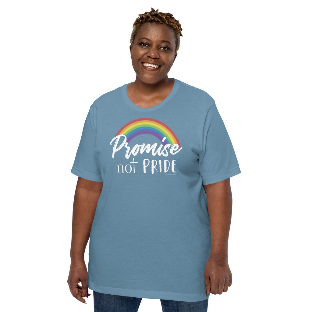 Promise Not Pride Shirt with Cross and Proverbs 16:18 on Back, Conservative Christian Rainbow Shirt