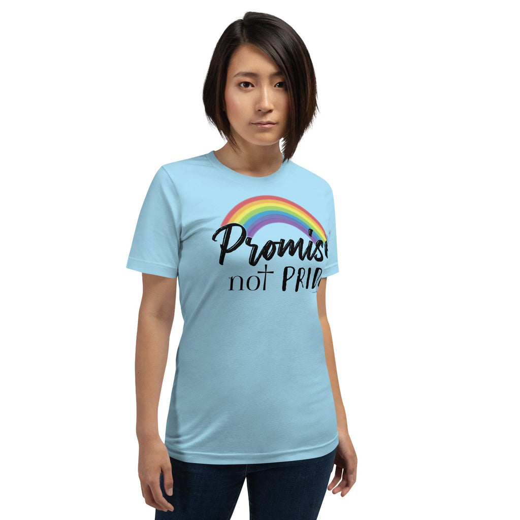 Promise Not Pride Shirt with Cross and Proverbs 16:18 on Back, Conservative Christian Rainbow Shirt