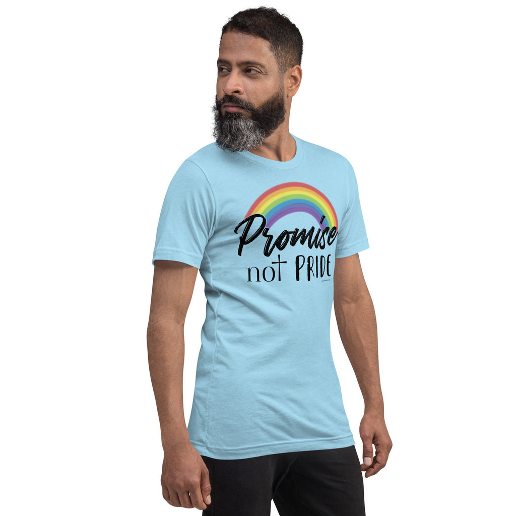 Promise Not Pride Shirt with Cross and Proverbs 16:18 on Back, Conservative Christian Rainbow Shirt