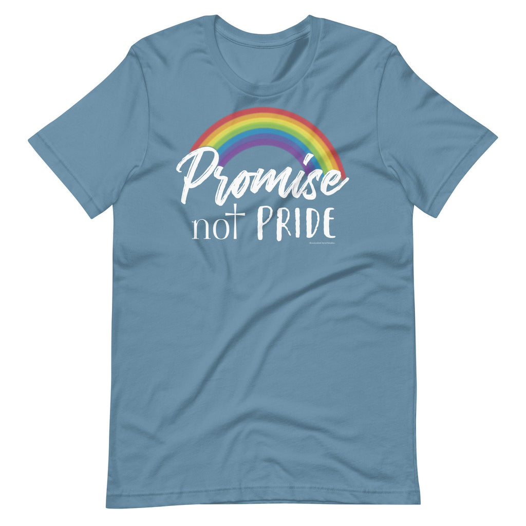 Promise Not Pride Shirt with Cross and Proverbs 16:18 on Back, Conservative Christian Rainbow Shirt