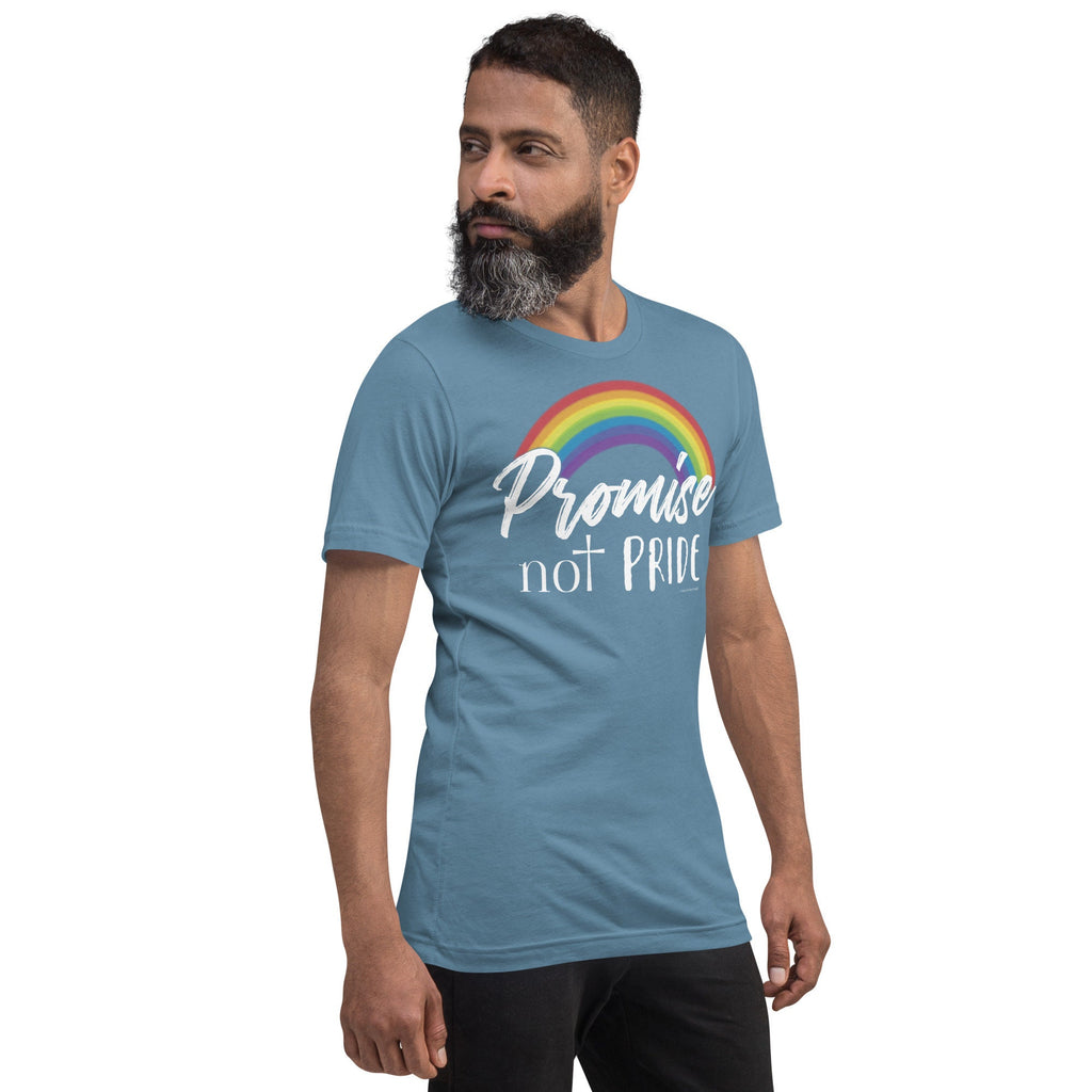 Promise Not Pride Shirt with Cross and Proverbs 16:18 on Back, Conservative Christian Rainbow Shirt