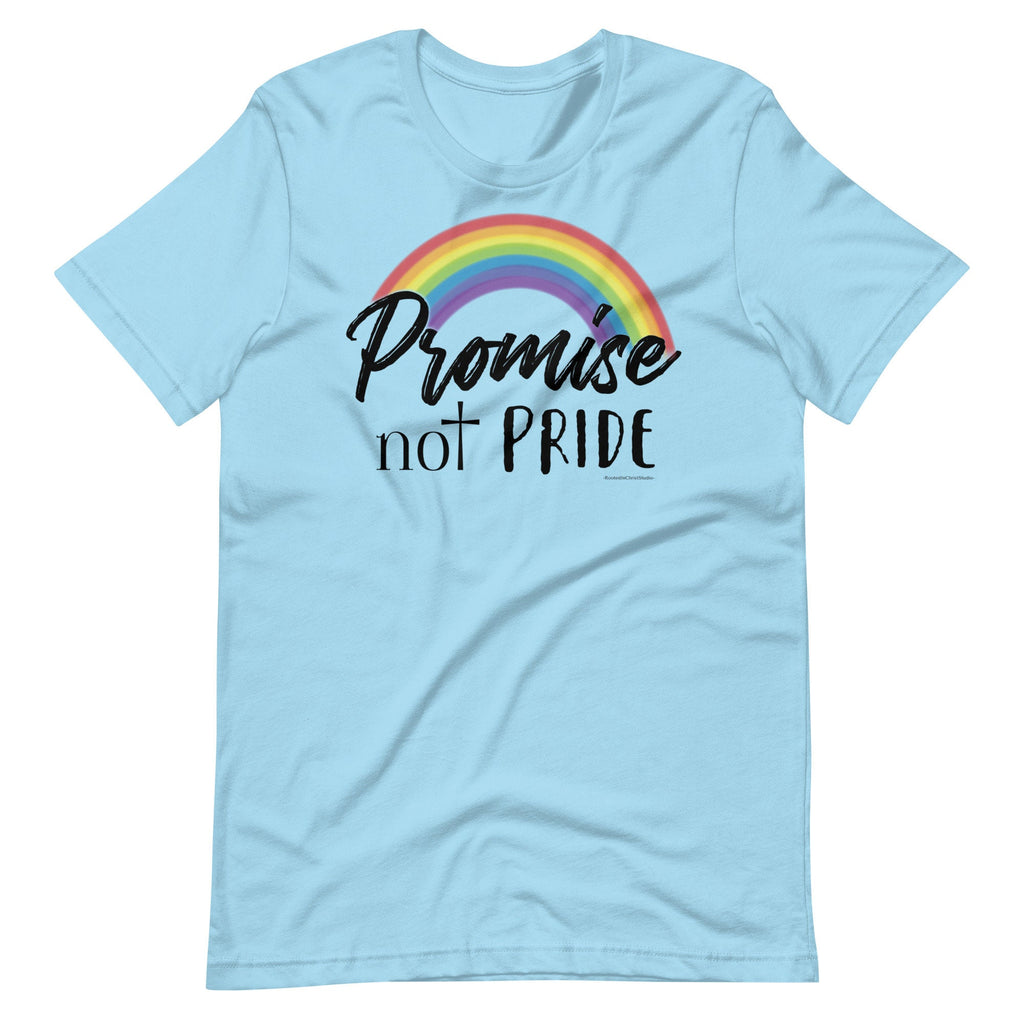 Promise Not Pride Shirt with Cross and Proverbs 16:18 on Back, Conservative Christian Rainbow Shirt