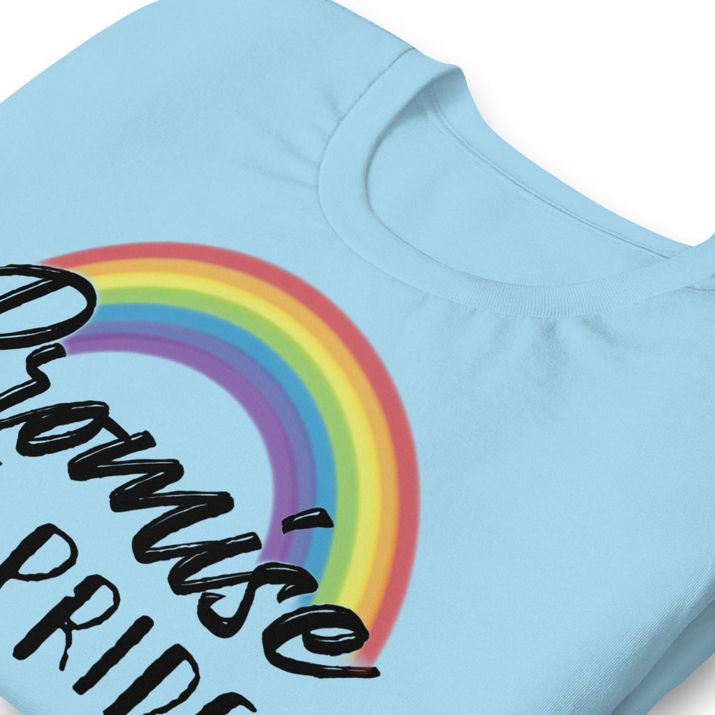 Promise Not Pride Shirt with Cross and Proverbs 16:18 on Back, Conservative Christian Rainbow Shirt